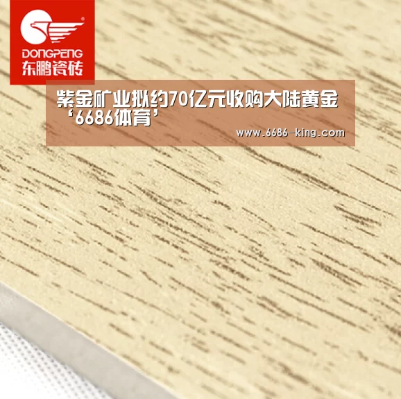 紫金矿业拟约70亿元收购大陆黄金‘6686体育’(图3) 6686官方入口