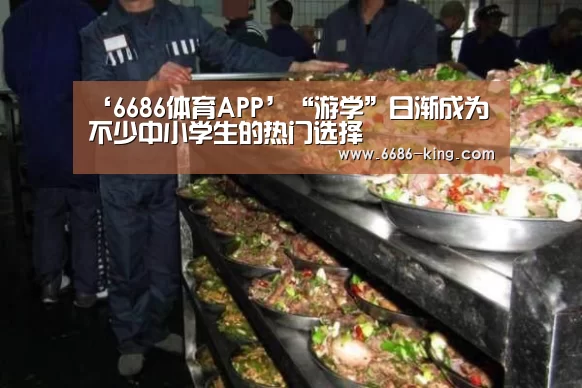 ‘6686体育APP’“游学”日渐成为不少中小学生的热门选择(图1) 6686官方入口