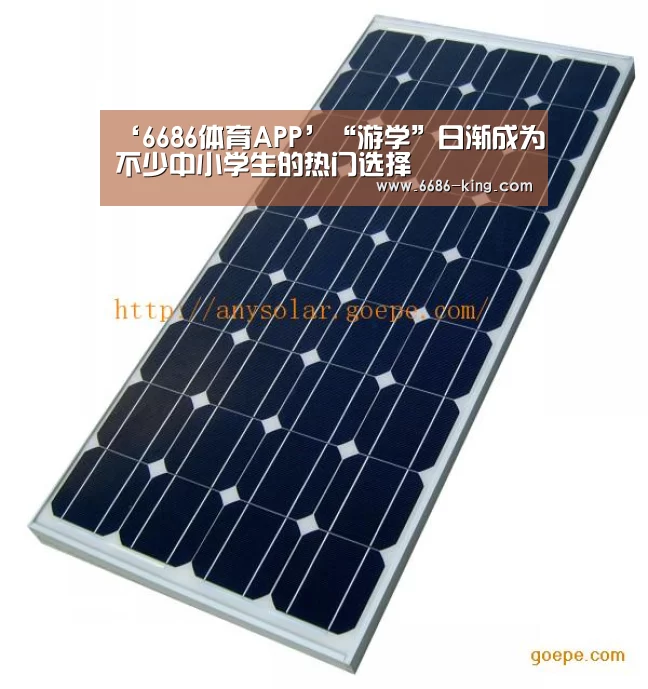 ‘6686体育APP’“游学”日渐成为不少中小学生的热门选择(图3) 6686体育